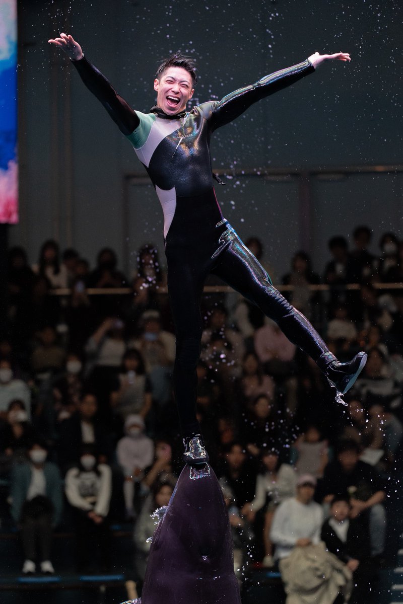kaze_fuu4's tweet photo. アクパにハマったきっかけでもあり
水族館の沼にハマったのも
このトレーナーさんの存在が
大きいんだろうなぁ〜って引退が
近くなって改めて思いました

最後の日が奇跡的にお休みで
全部の回みれたので
写真は最後の日のパフォーマンスから！

4年半お世話になりました
ありがとうございました！！ https://t.co/h3eM6feG9d