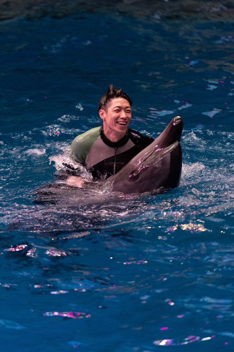 kaze_fuu4's tweet photo. アクパにハマったきっかけでもあり
水族館の沼にハマったのも
このトレーナーさんの存在が
大きいんだろうなぁ〜って引退が
近くなって改めて思いました

最後の日が奇跡的にお休みで
全部の回みれたので
写真は最後の日のパフォーマンスから！

4年半お世話になりました
ありがとうございました！！ https://t.co/h3eM6feG9d