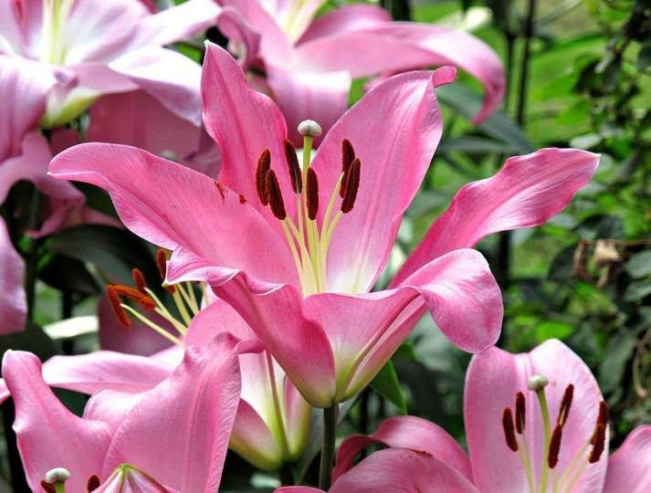 Roy Kelley tweet media