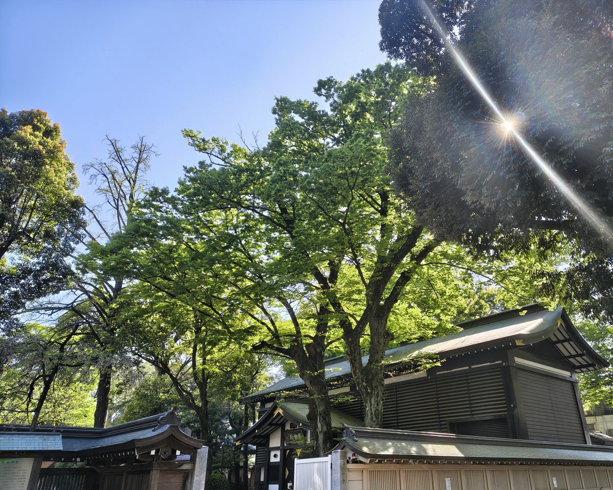 髙井 順子 tweet media