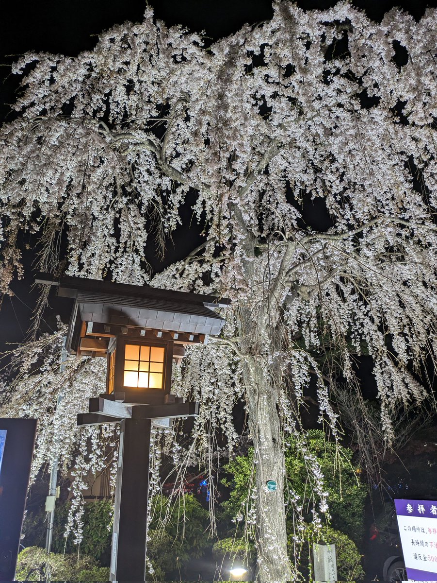 みんしあ@グラブル♪ tweet media