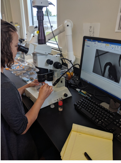 CIGLR_UM's tweet image. 🌊 #CIGLRAlumniSpotlight, #WomenInScience: Anna Schmidt

From #GreatLakes to global freshwater research, Anna advances food web science. A former #CIGLR fellow &amp;amp; lab analyst, she’s now pursuing her Ph.D. @uvmvermont studying lake ecology &amp;amp; carbon cycling: ciglr.seas.umich.edu/alumni-story/f…