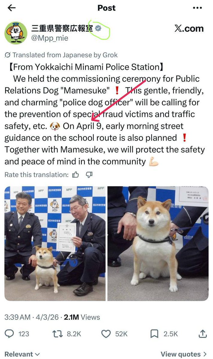 Mamesuke tweet media