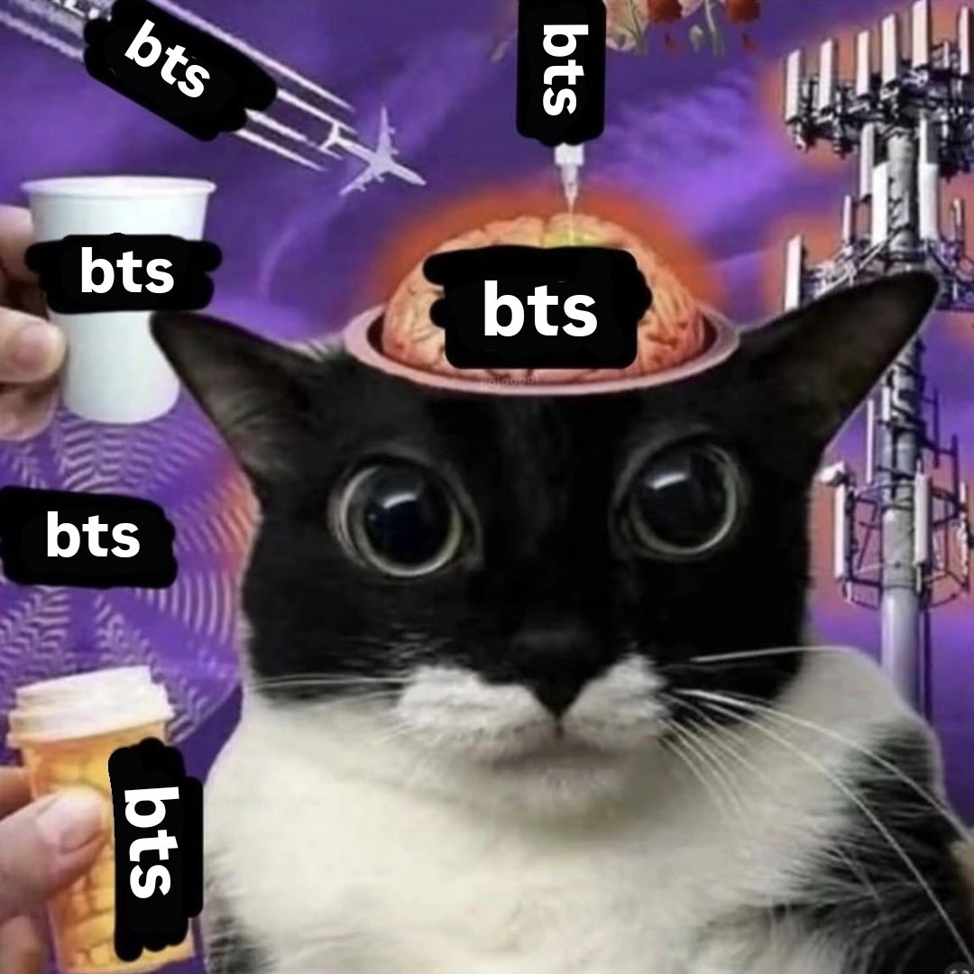 kemi VAI VER O BTS tweet media