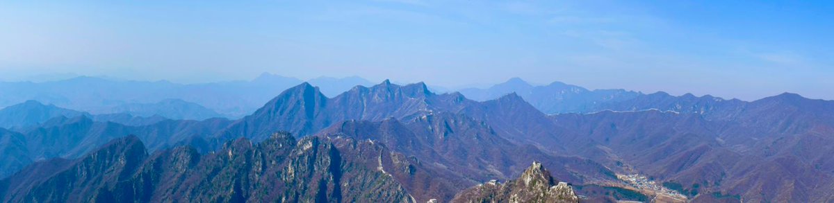 Celtic FC Foundation tweet media