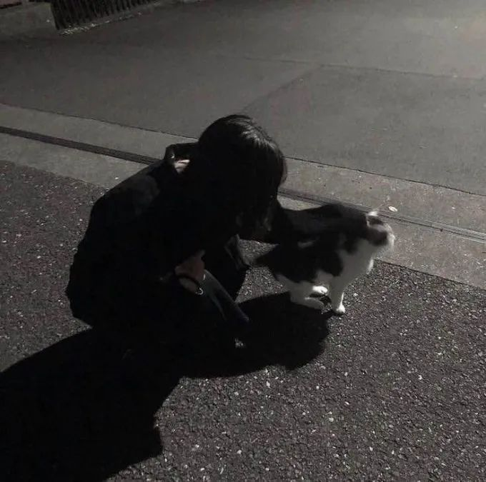 Nika 🌙💫⭐️ Jjong tweet media