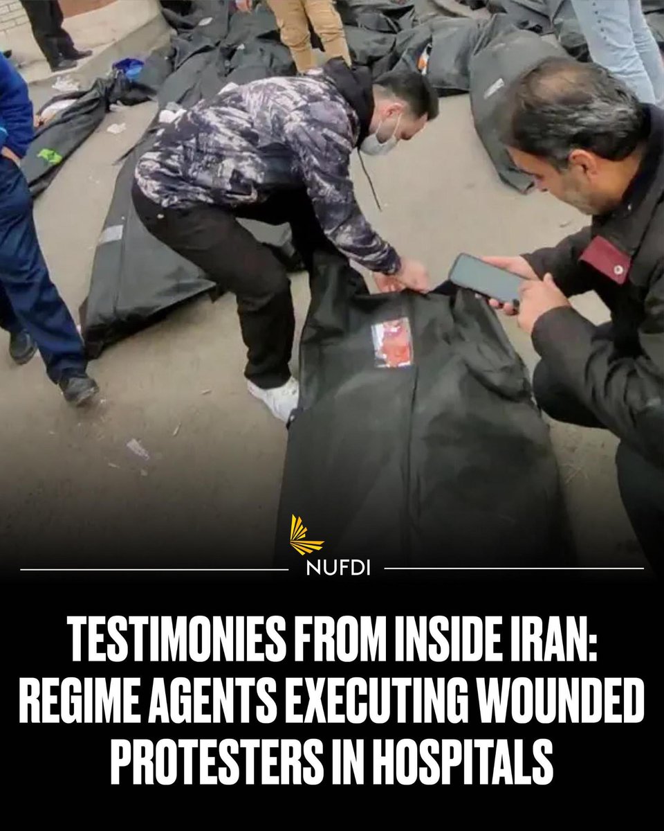 Aryo 🇮🇷 🇺🇲 tweet media