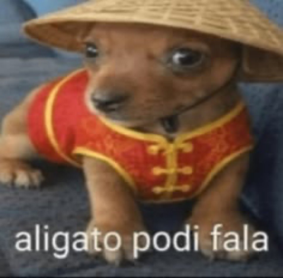 larissa agulhas 🇵🇸 tweet media