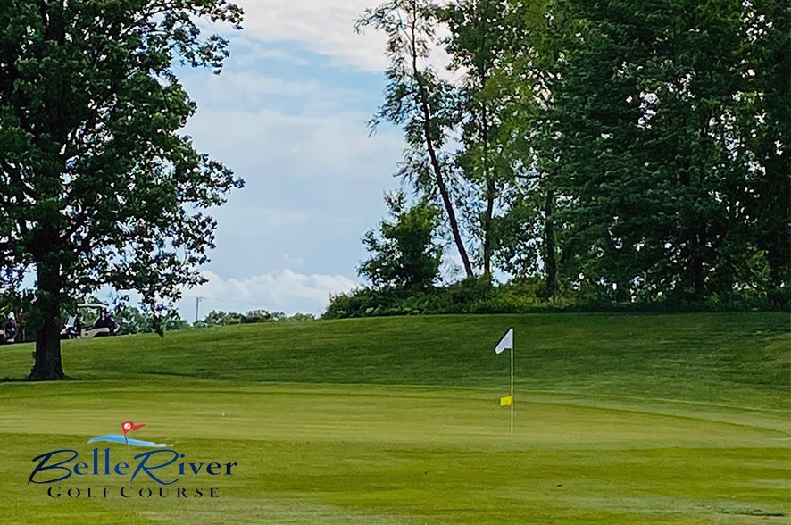 GroupGolfer Michigan tweet media
