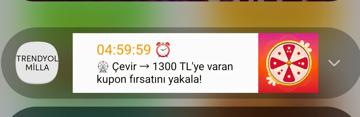 Elif Bilge tweet media