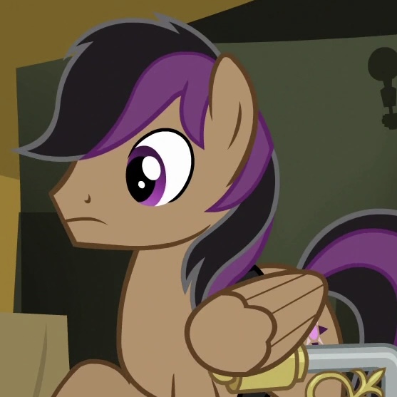 mr raridash tweet media