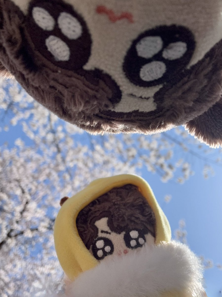 모꾸 어미🍇 tweet media