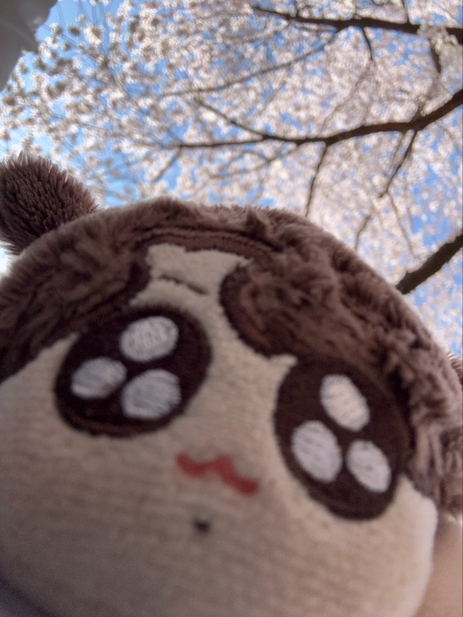 모꾸 어미🍇 tweet media