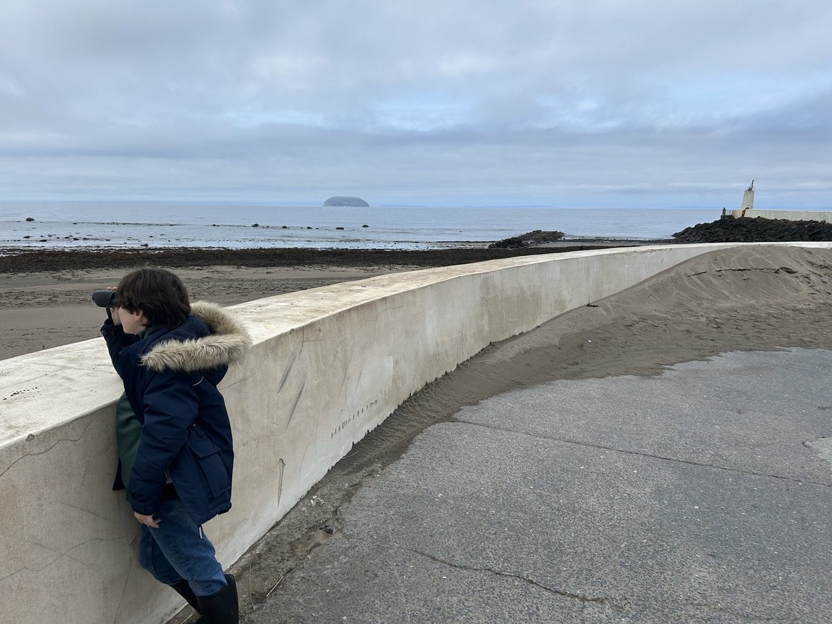 Niall Paterson tweet media