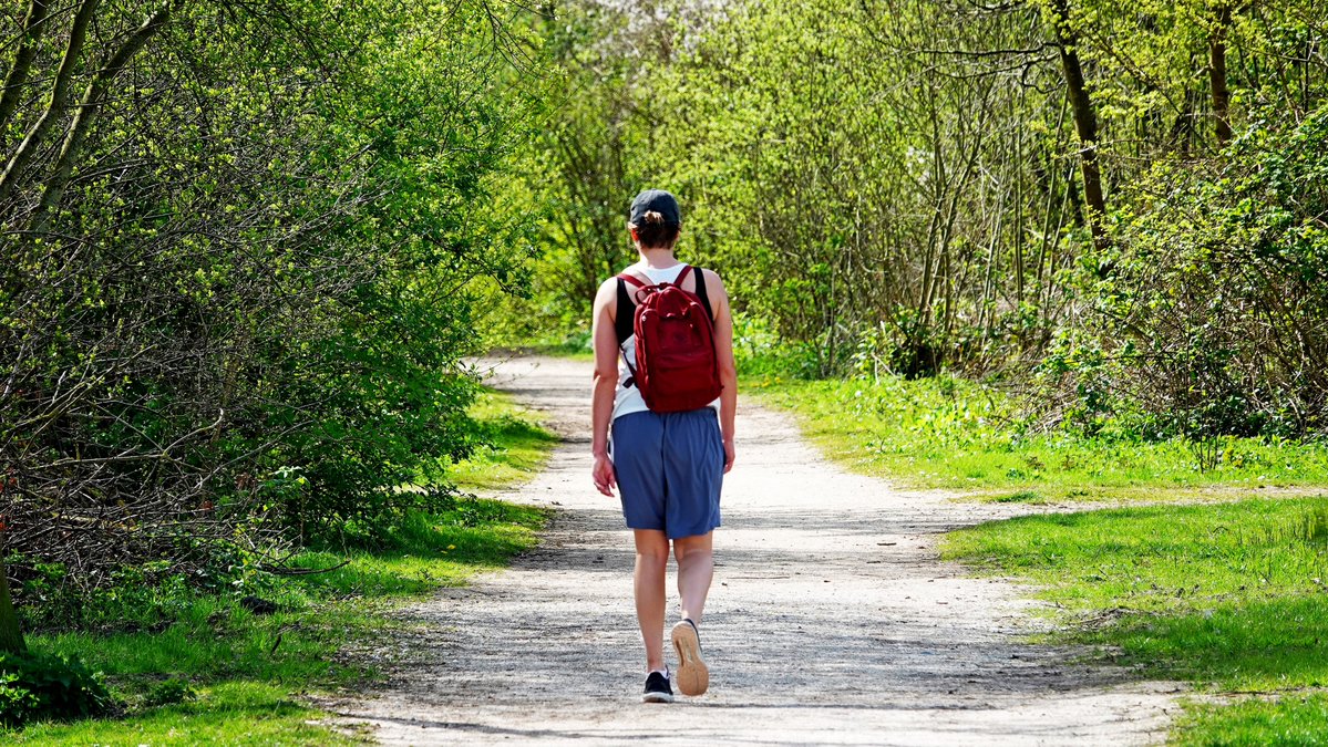 Ton Wesselius tweet media