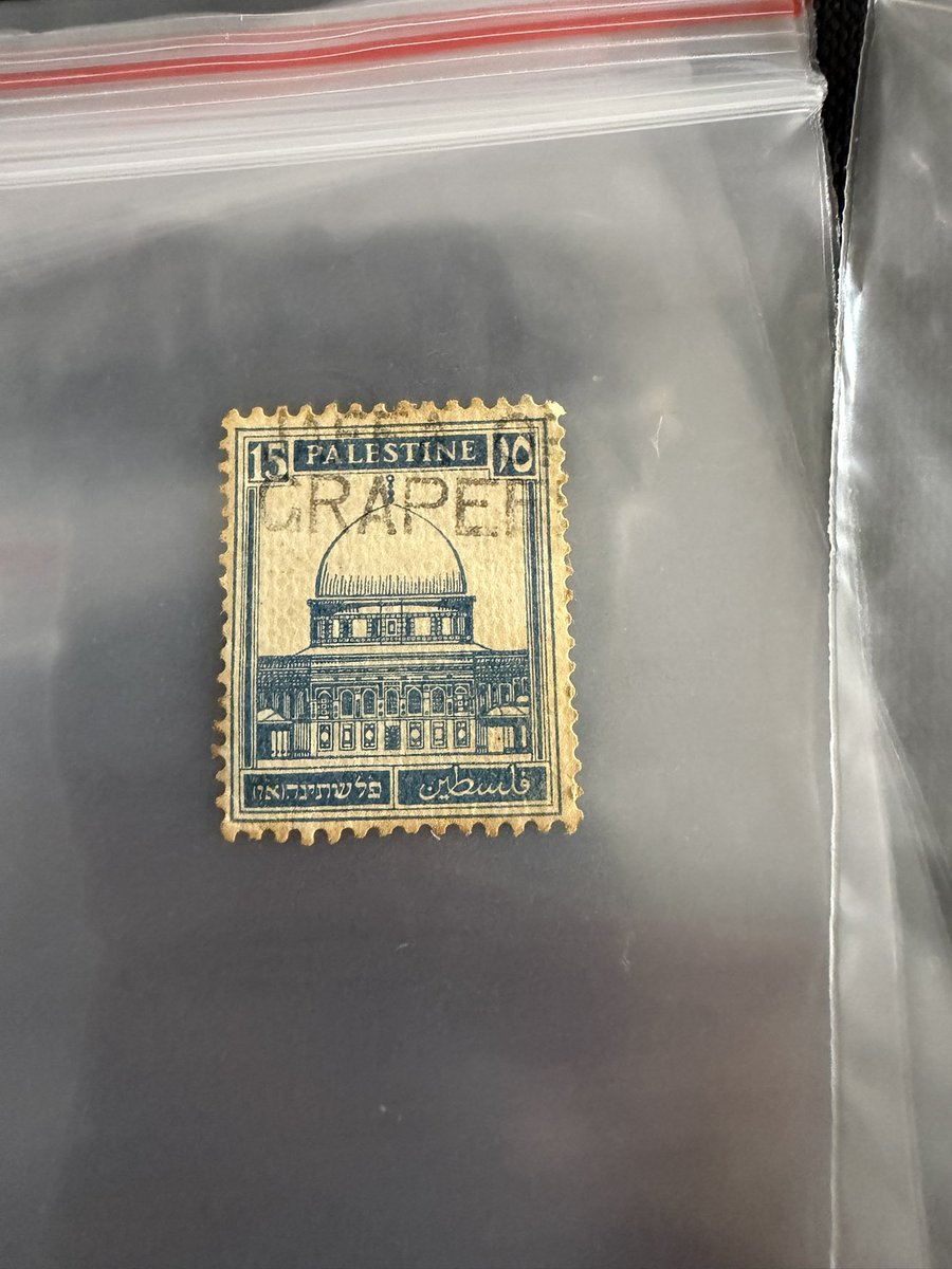 Mademoiselle 🇮🇱 🇮🇱 🇮🇱 tweet media