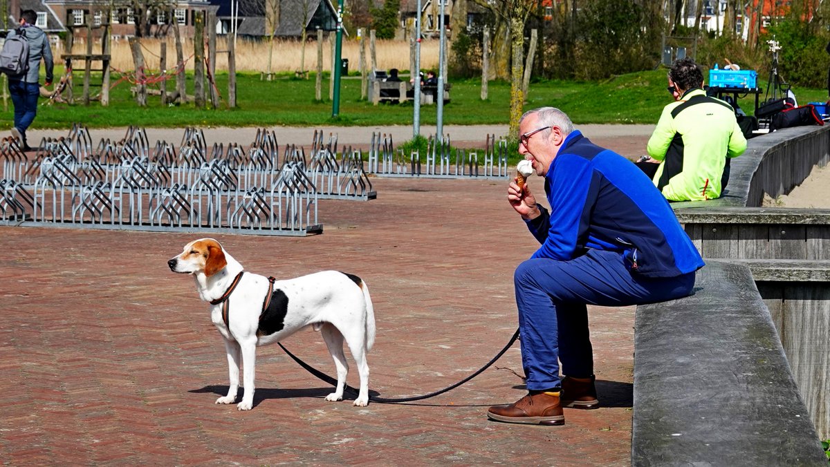 Ton Wesselius tweet media