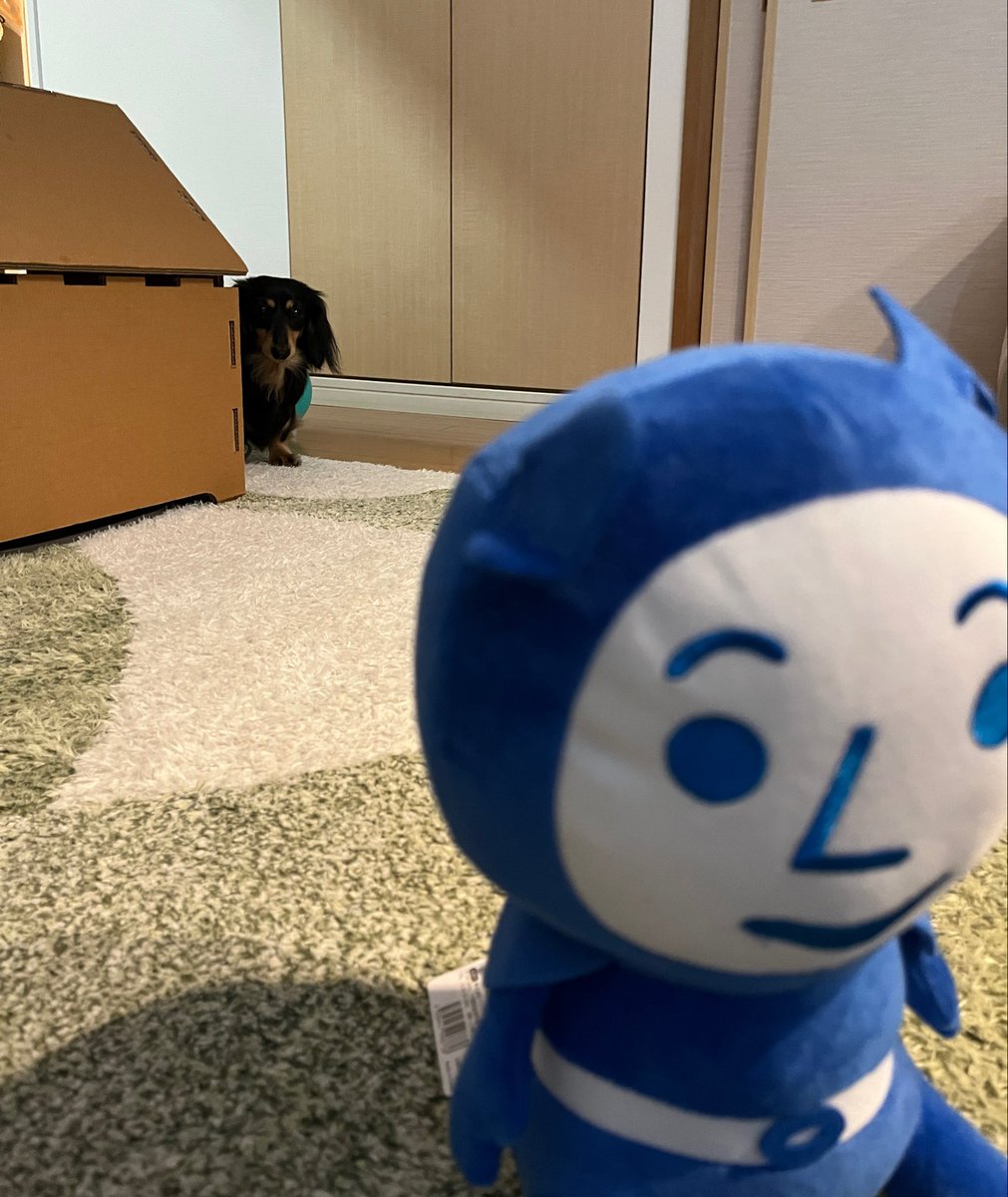 slatch(すらっち) tweet media