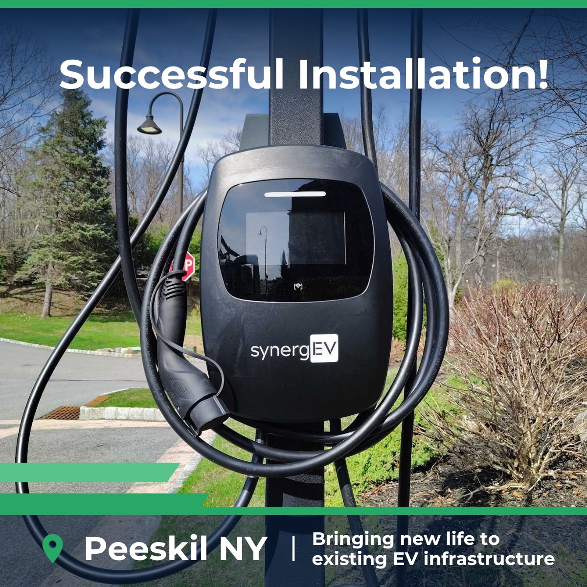 synergEV tweet media