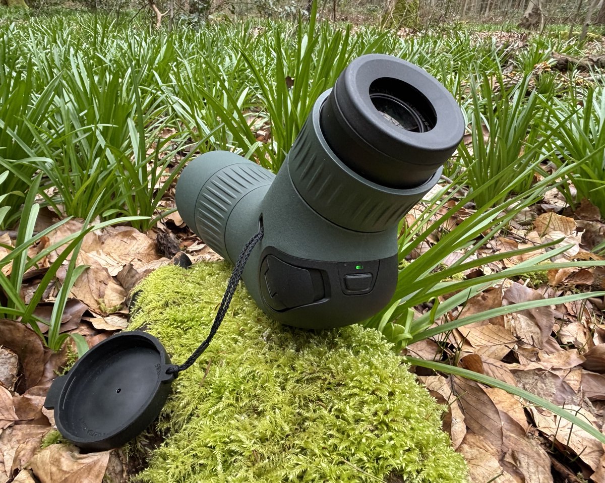 Bird-Watchers.com tweet media