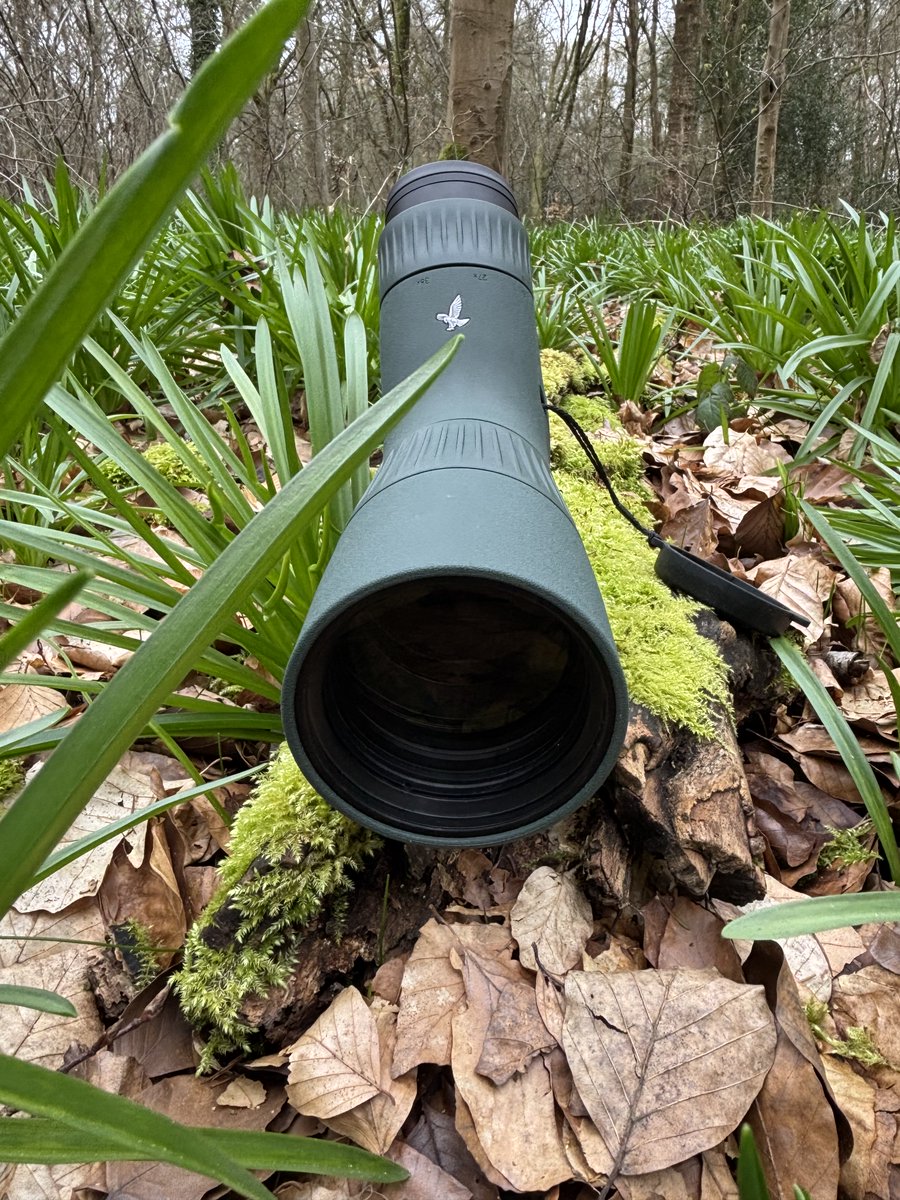 Bird-Watchers.com tweet media