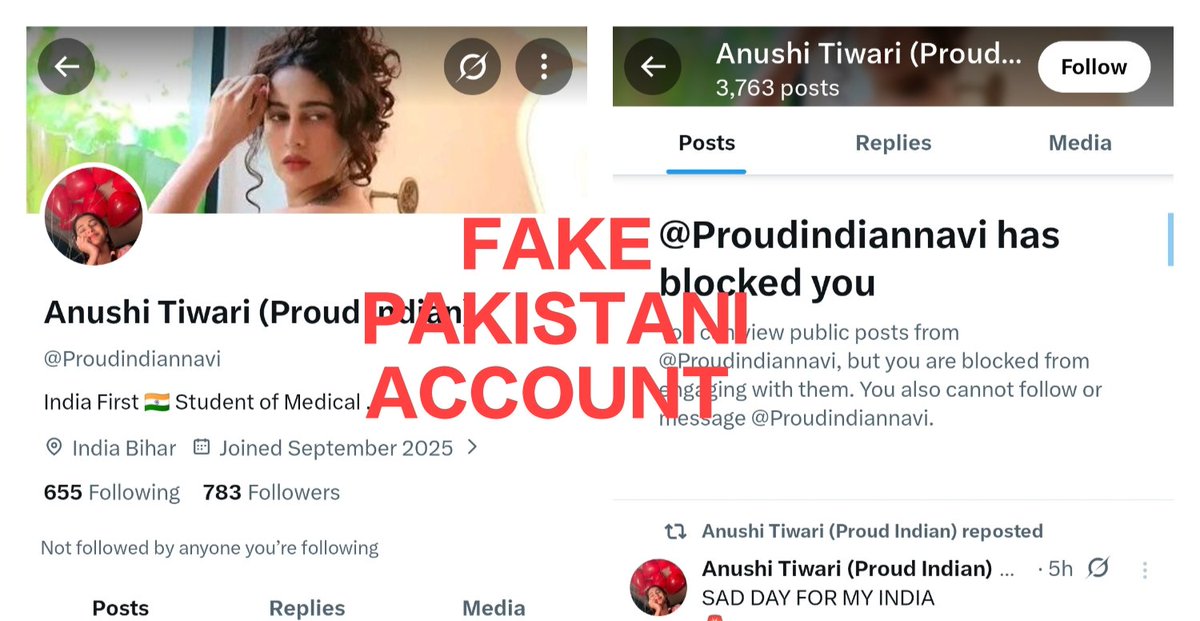 A Pakistani account <a href="/Proudindiannavi/">Anushi Tiwari (Proud Indian)</a> pretending to be Indian blocked me. Why are Pakistanis like this? #Pakistan #India