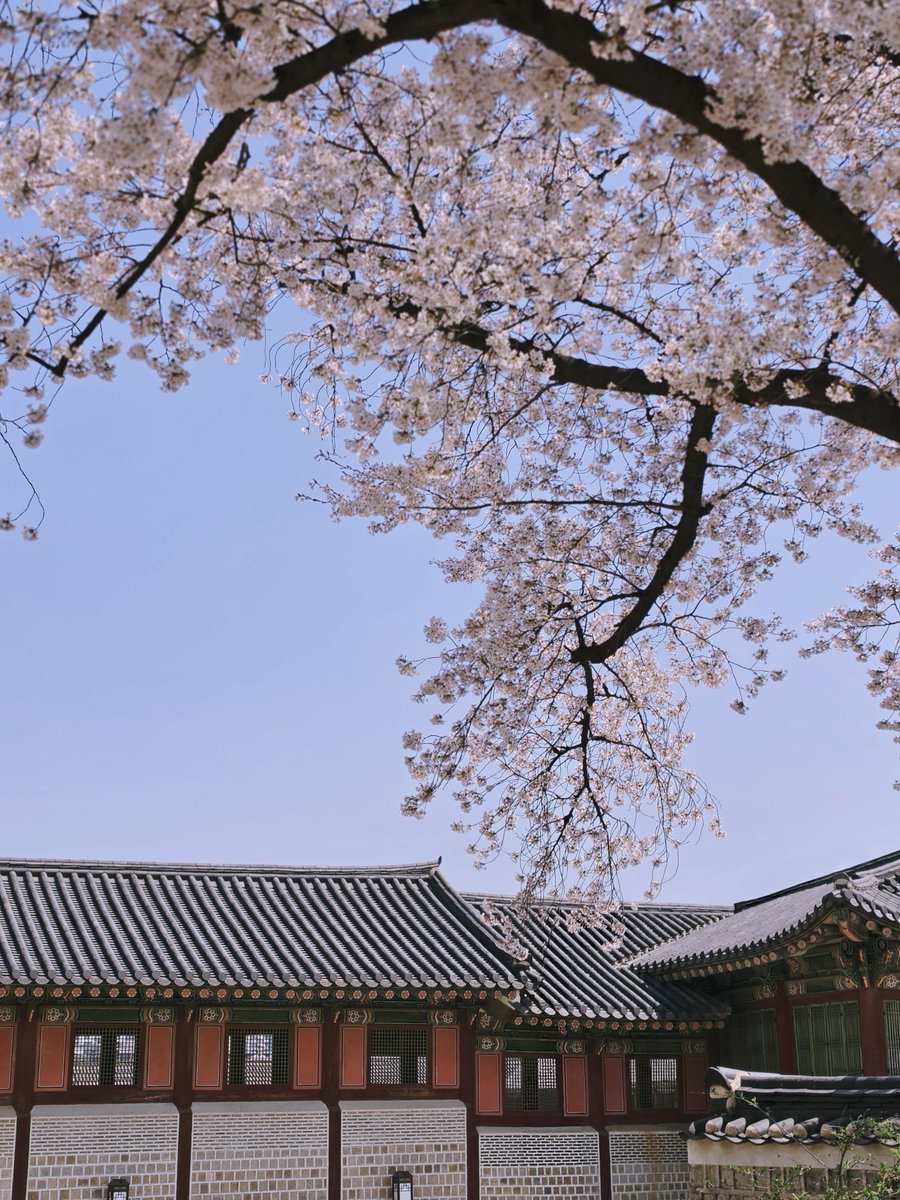 Buztozai tweet media