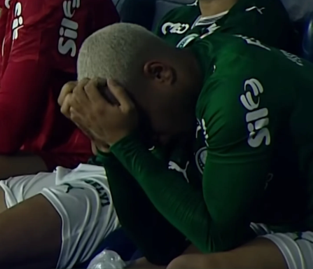 Palmeirazone tweet media