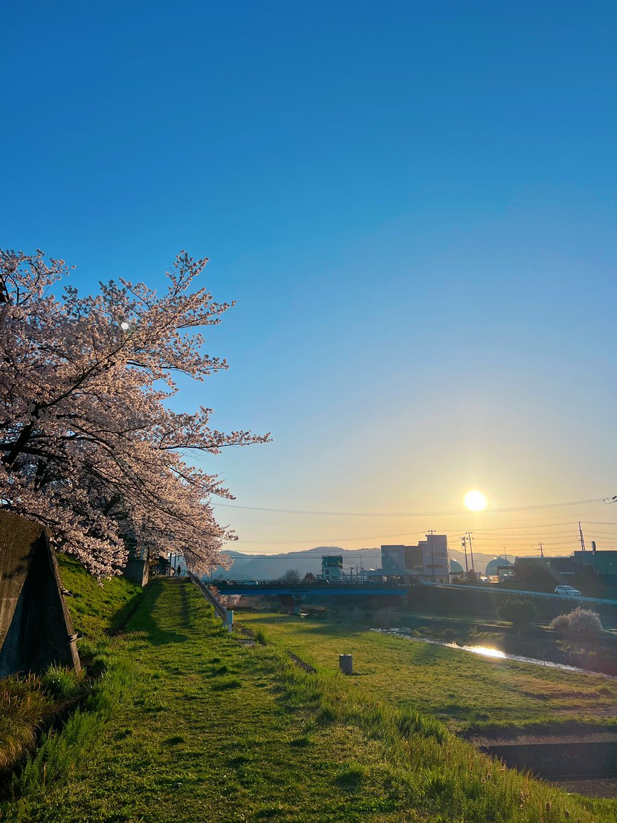 ガクット🌙ムーン小林 tweet media