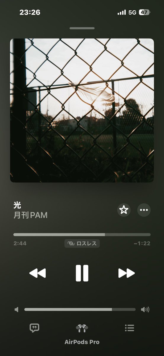 でか男 tweet media