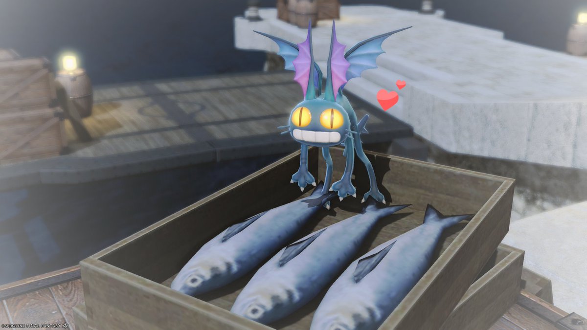 とき@ユニコーン鯖🜸 tweet media