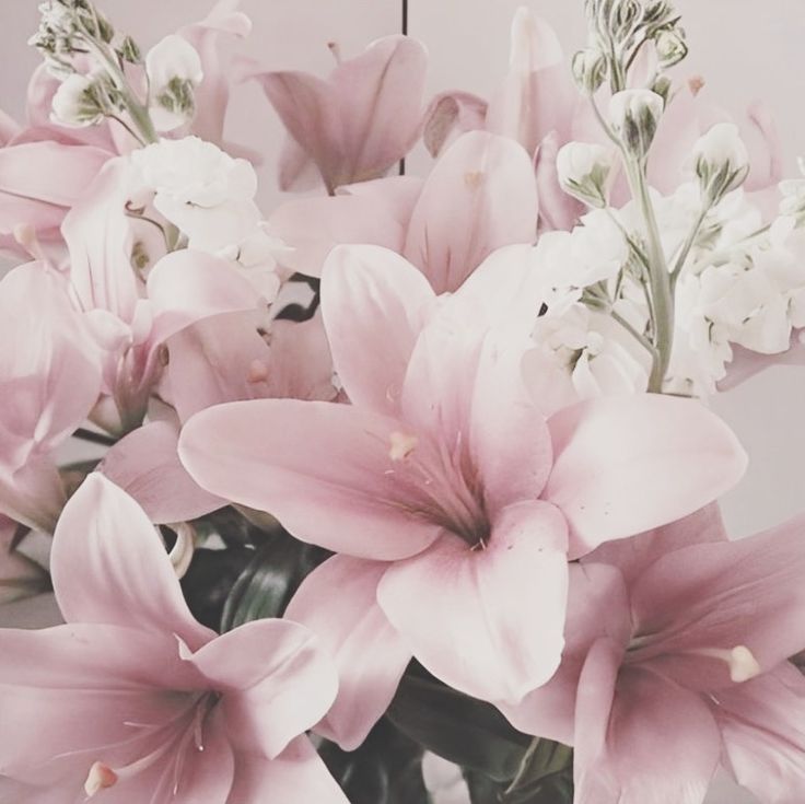 qai 𖥔 ݁ ˖ tweet media