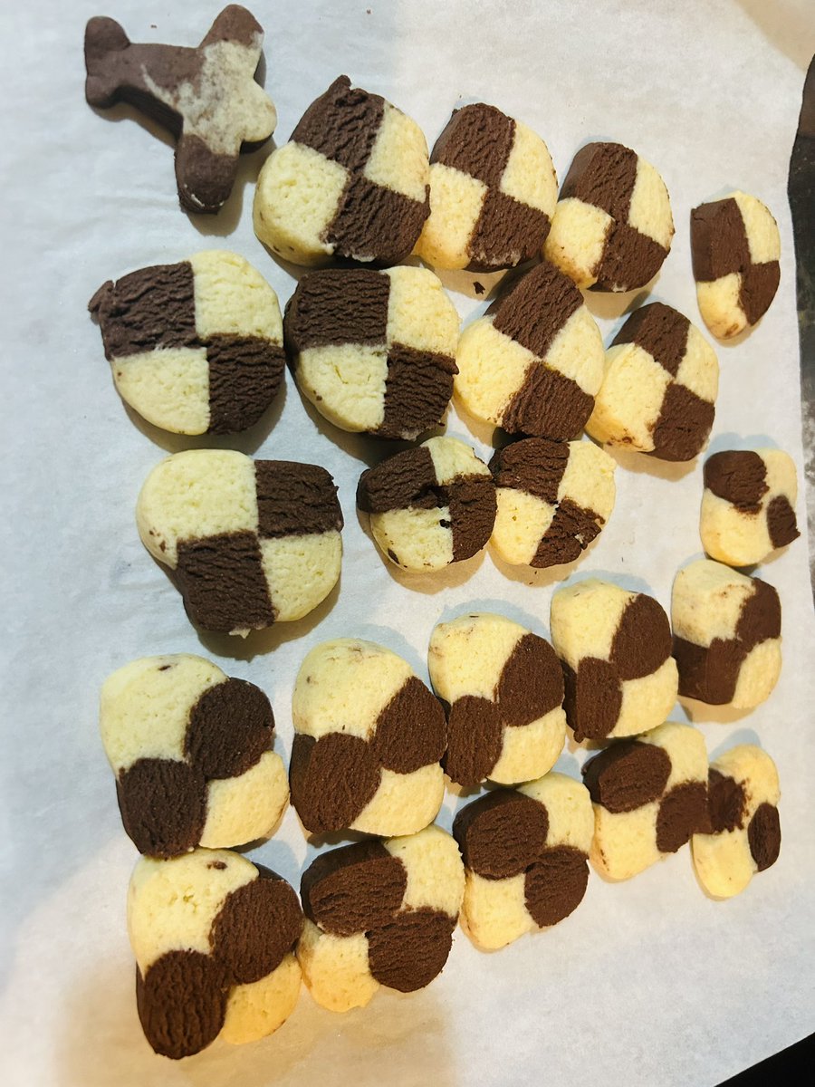 ばす時々ばしゅ tweet media