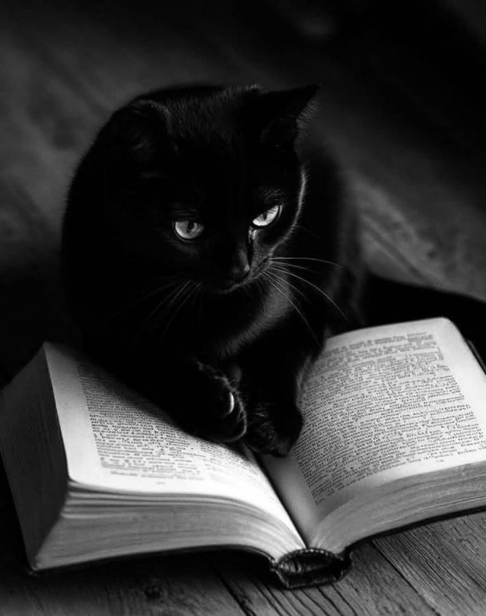 James Anthony 💎 tweet media