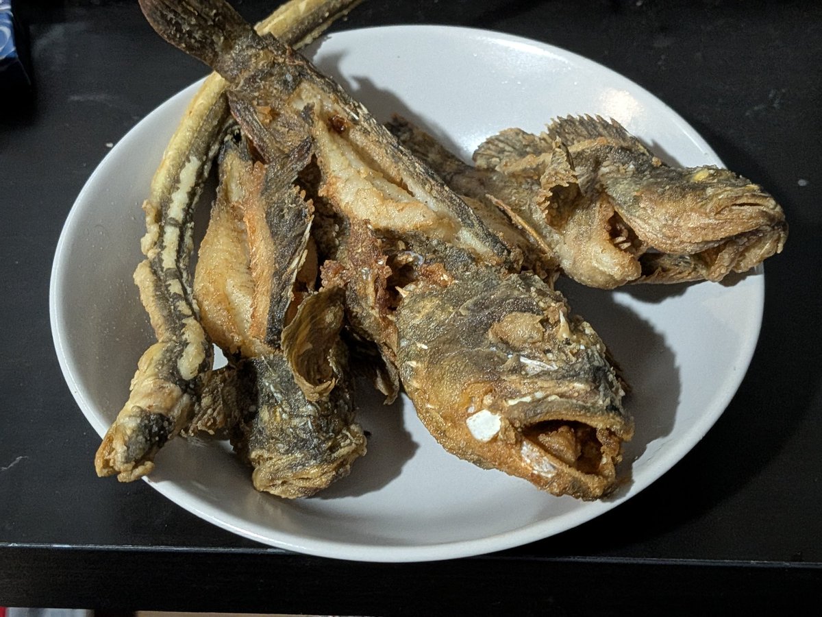 hageeeeeeeZ's tweet photo. 魚を揚げました
針飲んでたの忘れてました
食べないように気をつけます https://t.co/JvJKogd9GM