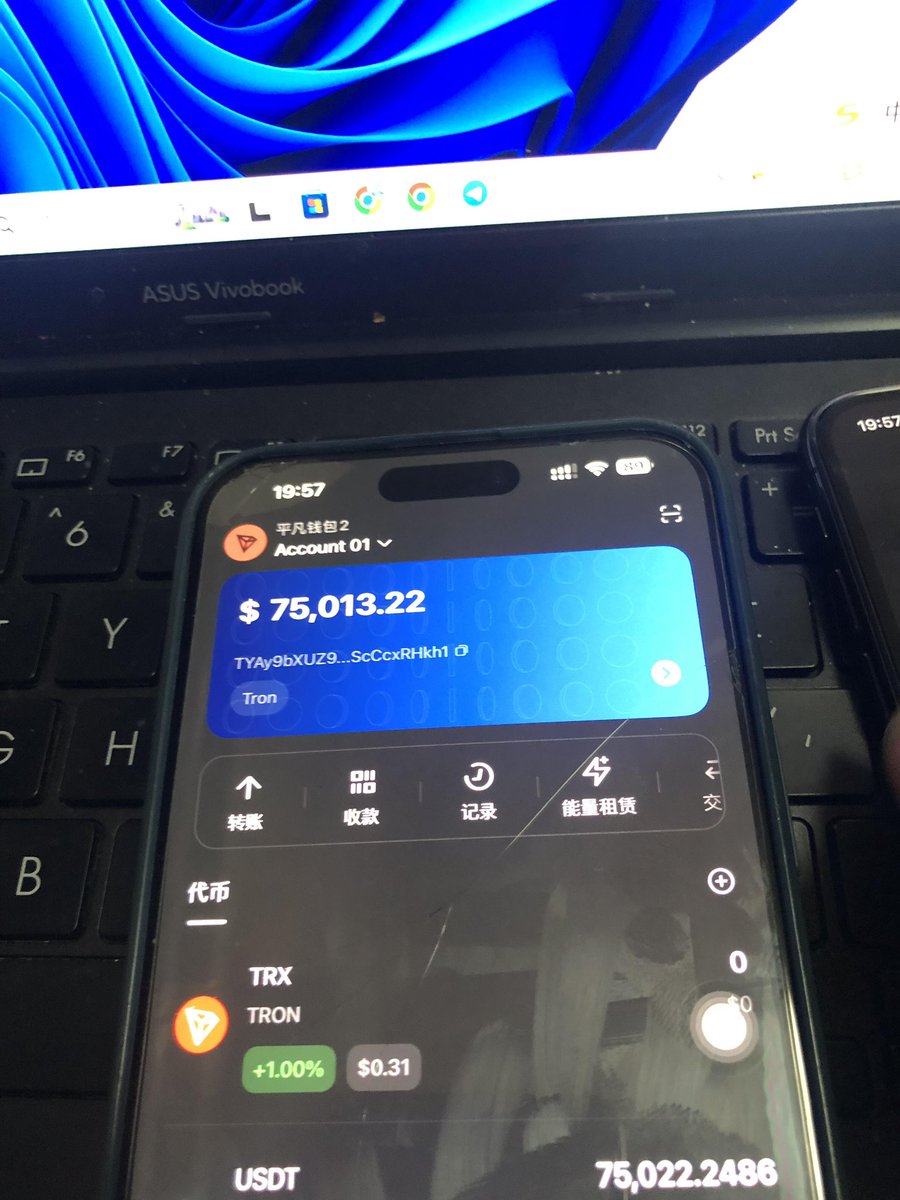 十柒-找项目（主页 联系方试） tweet media