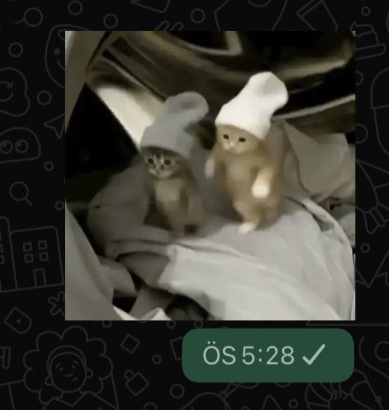 HOOØ.øOPEN IC MENTIKAS █̶̳̘͛̄̃͒̄̃͜█̴͇̱̅͒̅ 🇲🇨 tweet media