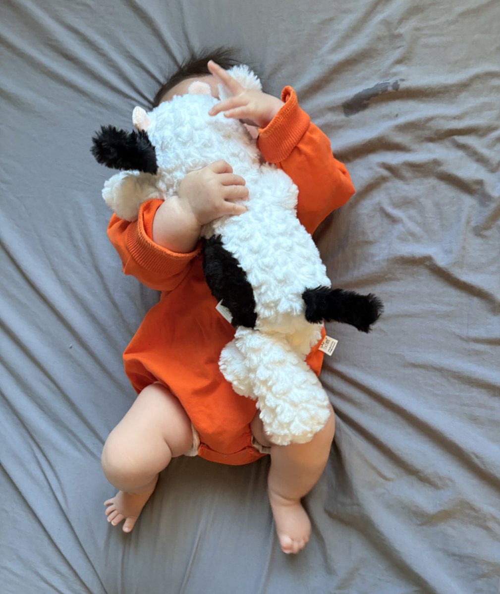 くどみ(みそ) tweet media