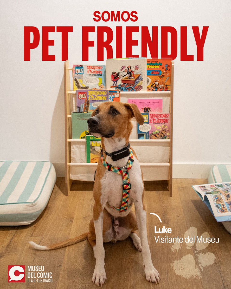 Museu del Còmic tweet media