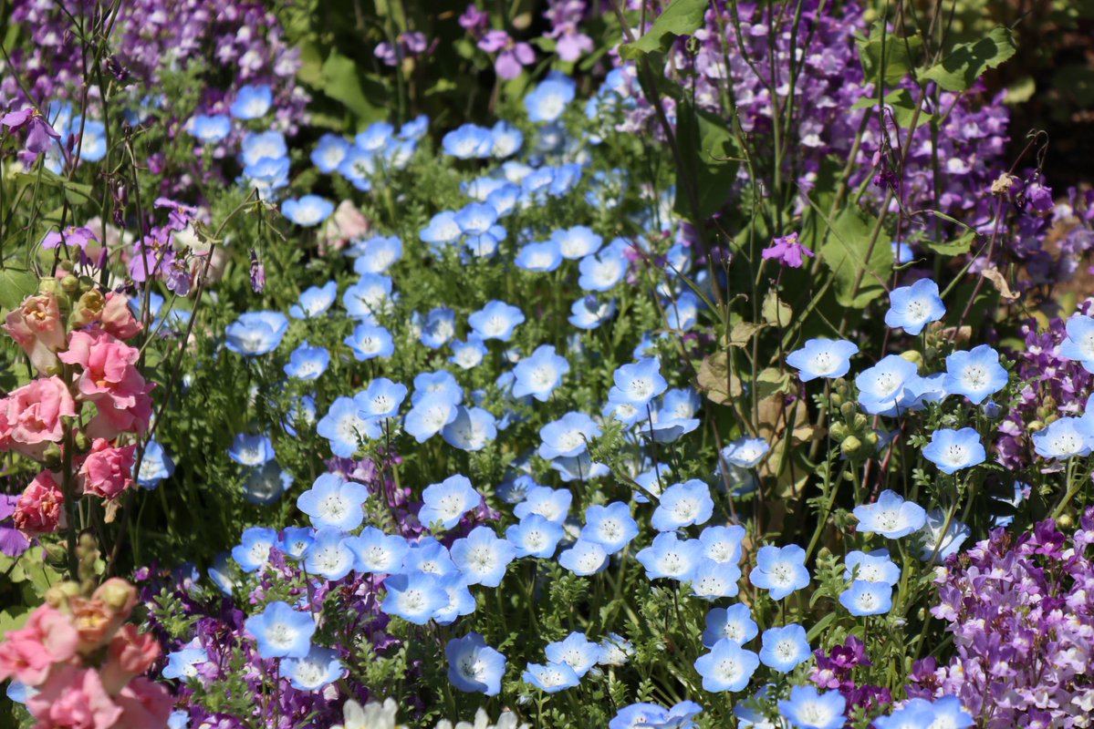 つむぎ tweet media