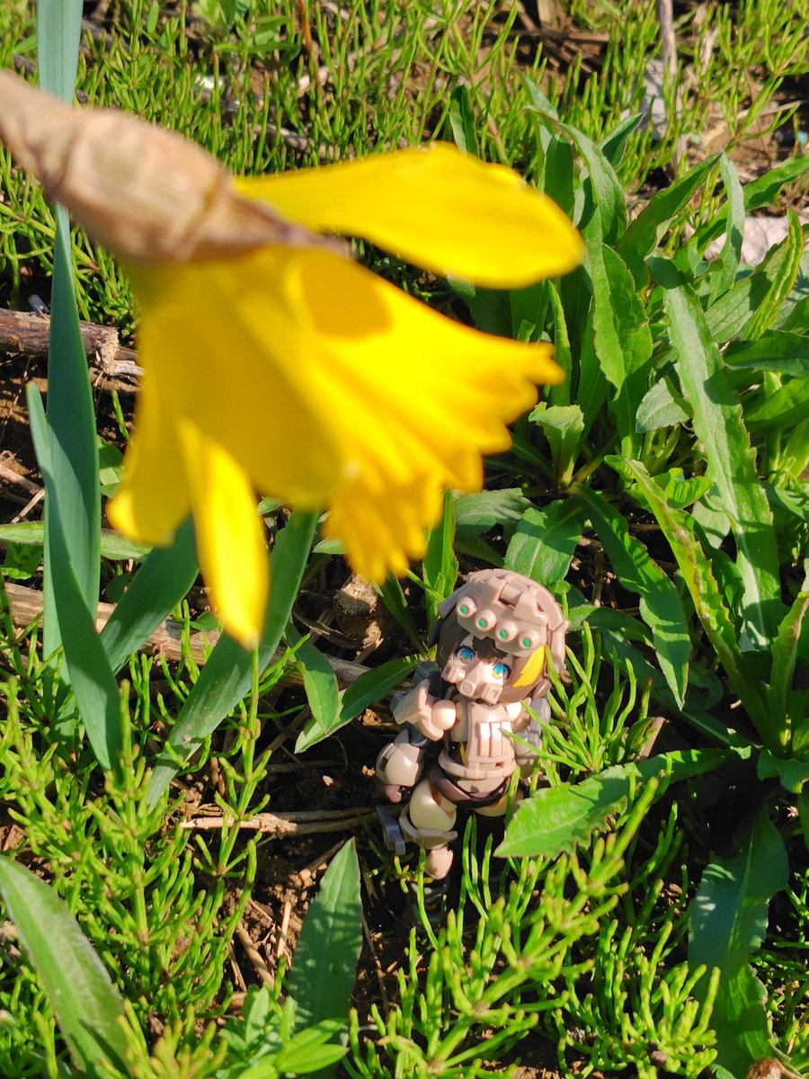 カロリック tweet media