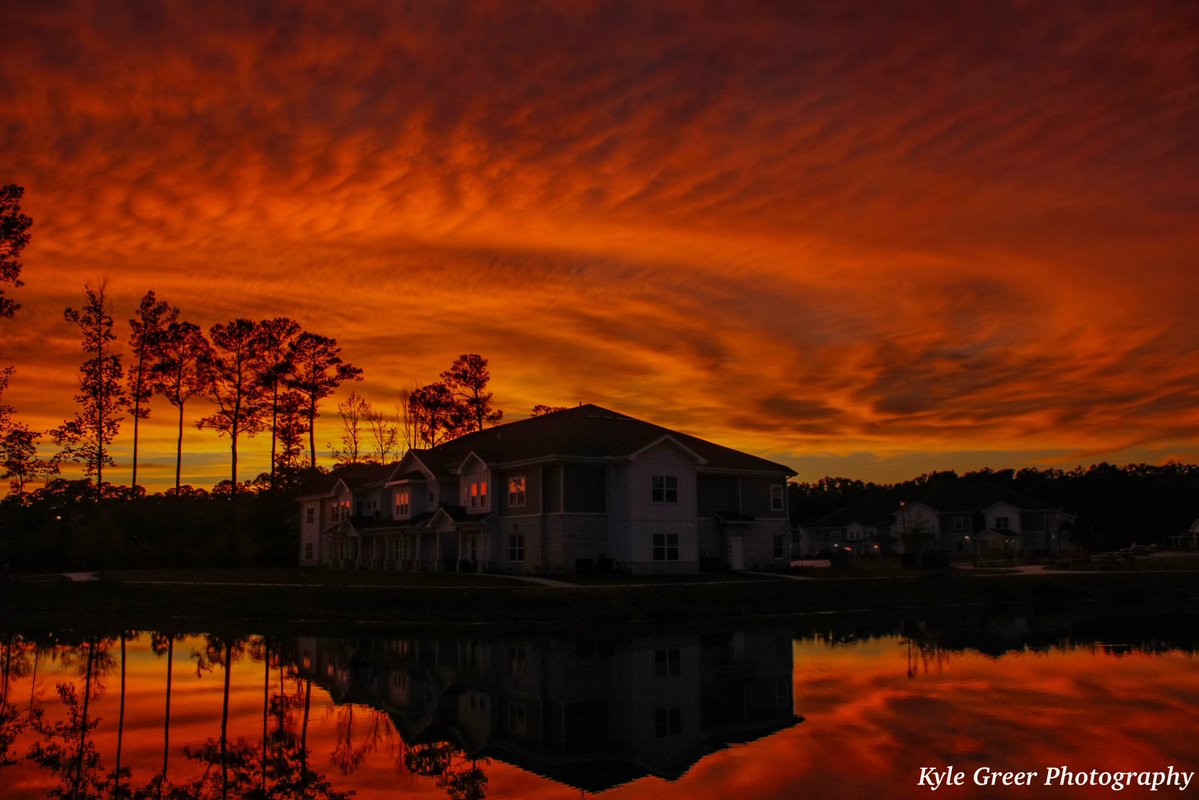 Kyle Greer tweet media