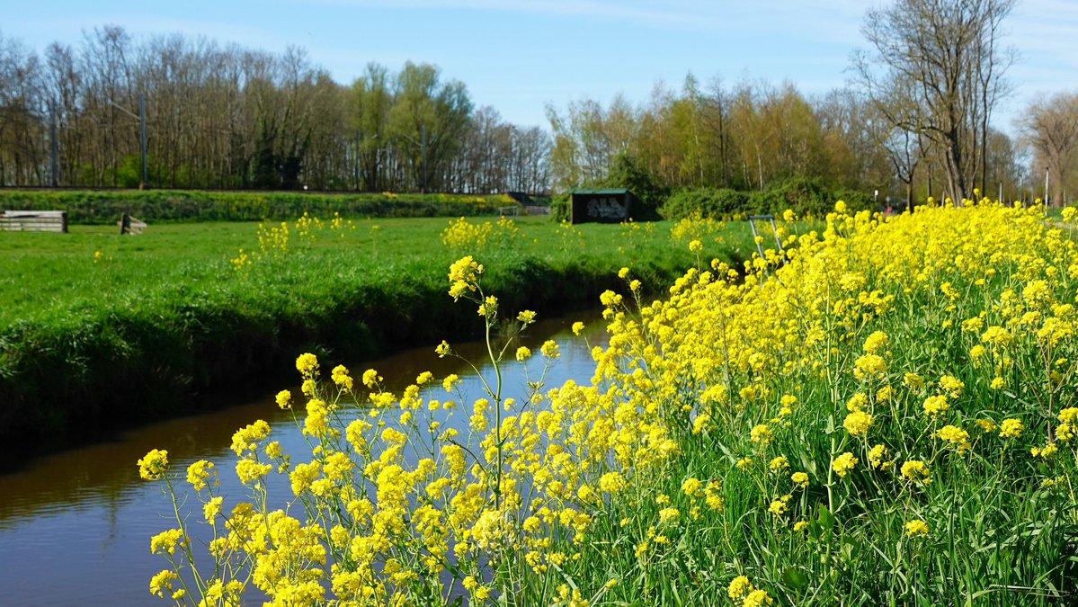 Ton Wesselius tweet media