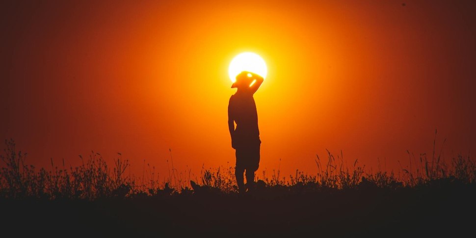 onlíner tweet media