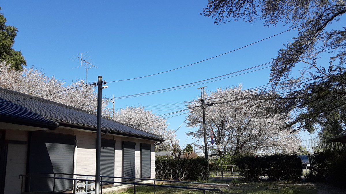 そらのムタ tweet media