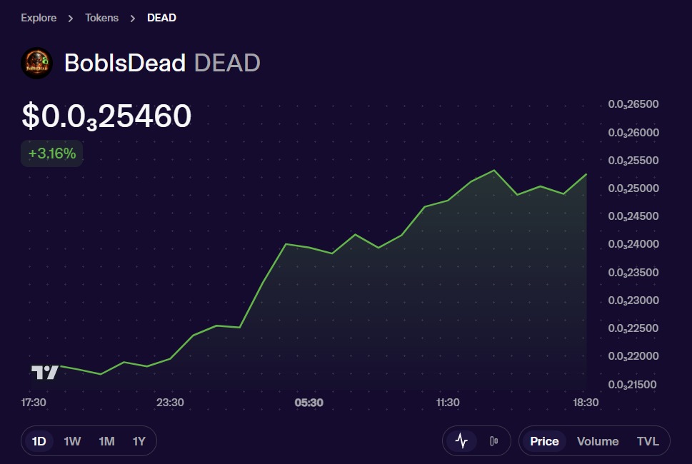 itsjack006's tweet image. Are you guys paying attention?👀

Especially those who think or call passion scammers or bad things.

See the projects of $icp mentioned below. 
If you are a real builder and want any kind of support, the guy is there. 🔥
See them. 📊
These are all sitting at ATH no matter where