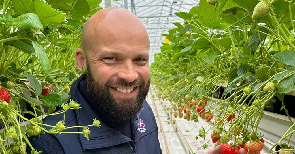 BerryWorld UK appoints Paul Avery as new managing director ow.ly/sW45106wWLR