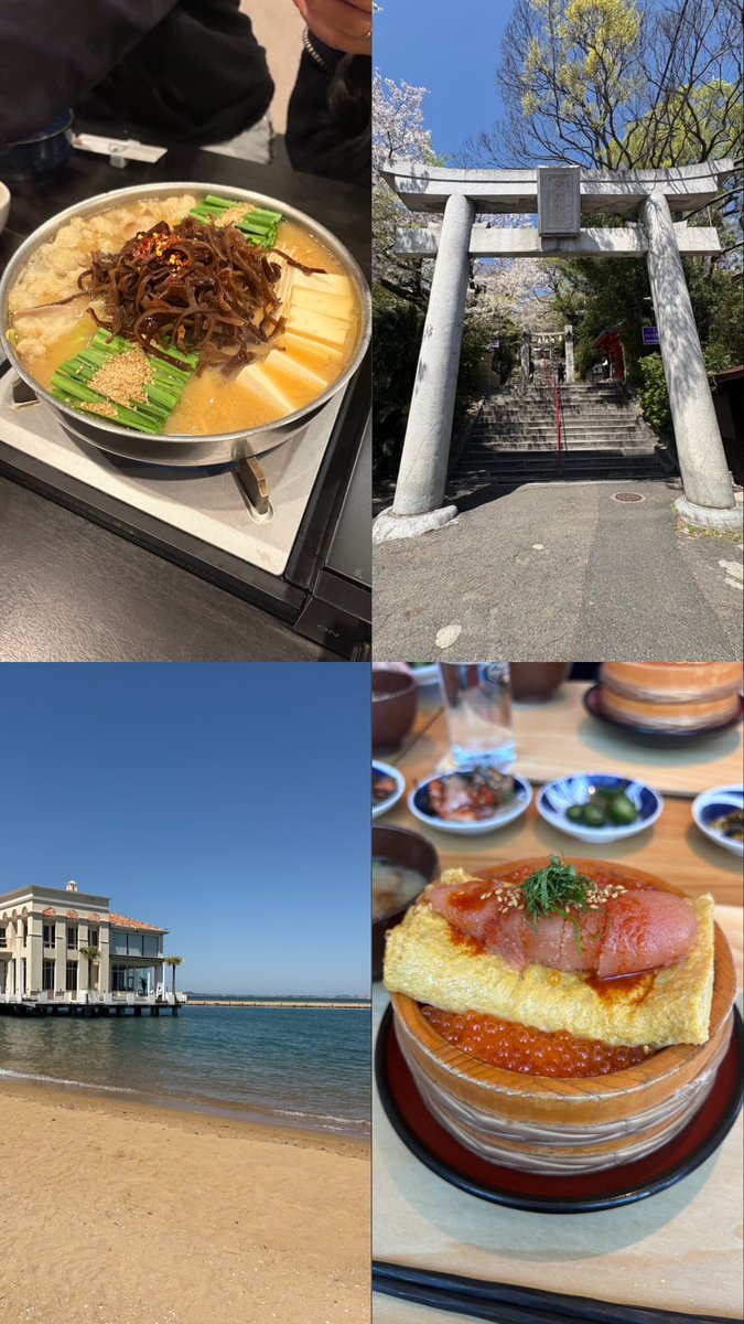 ましゅまろ tweet media