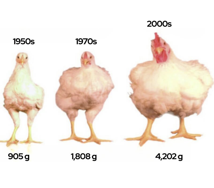 Modern History tweet media