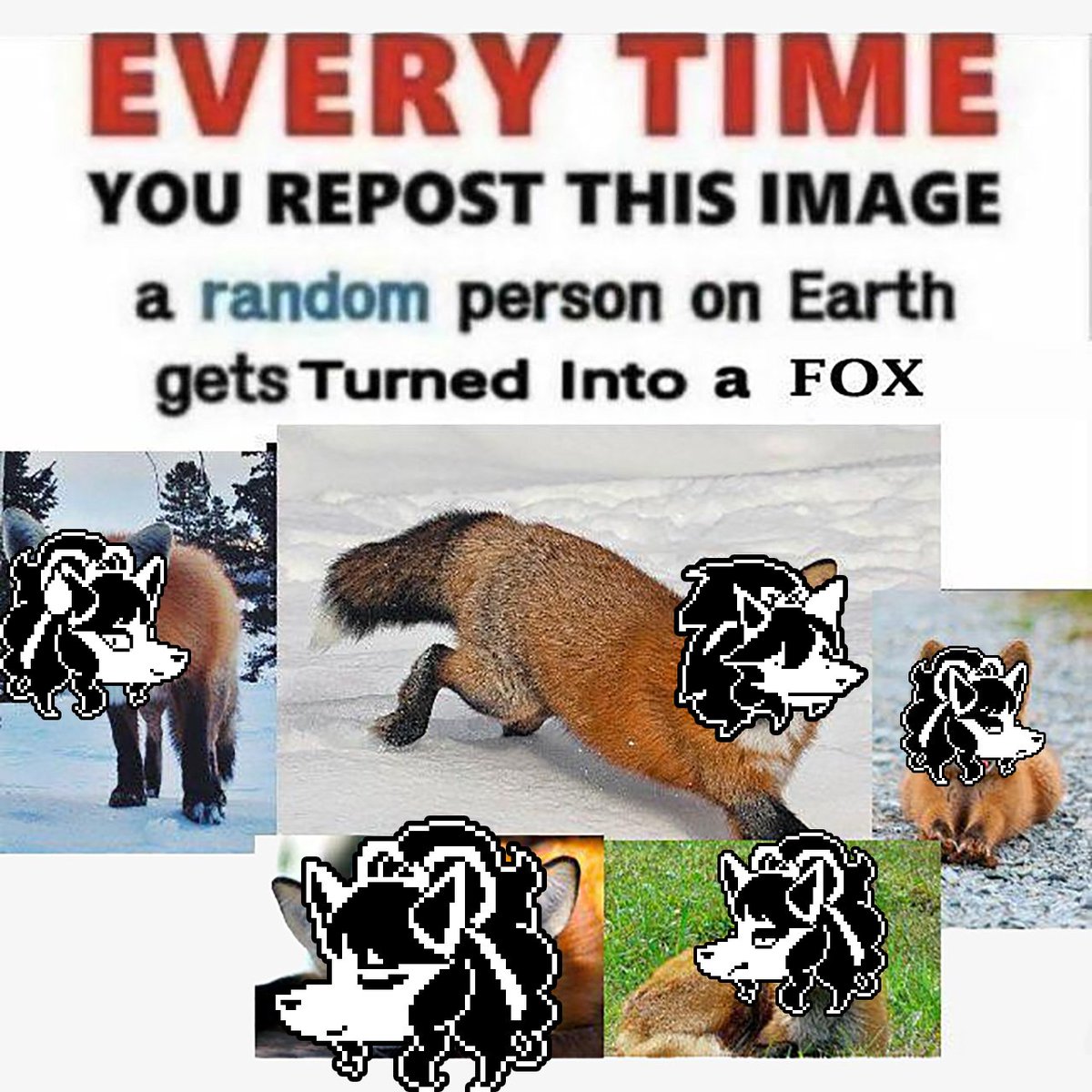 Baclazhanchick tweet media